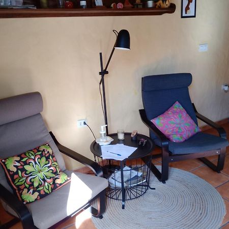 Casa Palmera Y Casa Datil 해리아 외부 사진