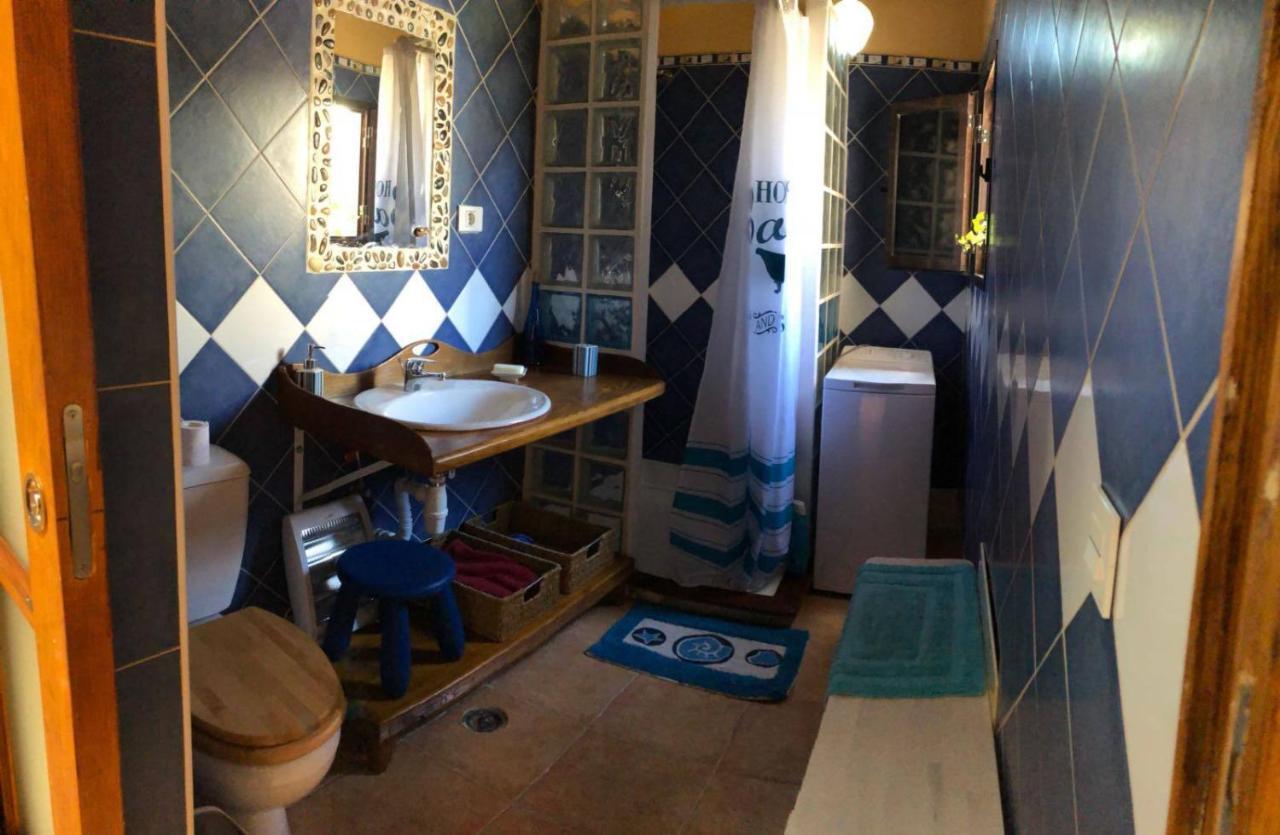 Casa Palmera Y Casa Datil 해리아 외부 사진