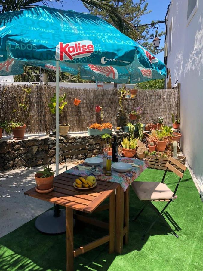 Casa Palmera Y Casa Datil 해리아 외부 사진
