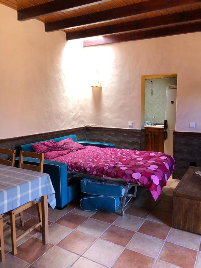 Casa Palmera Y Casa Datil 해리아 외부 사진