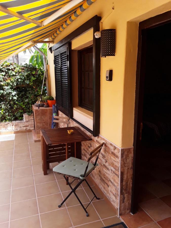 Casa Palmera Y Casa Datil 해리아 외부 사진
