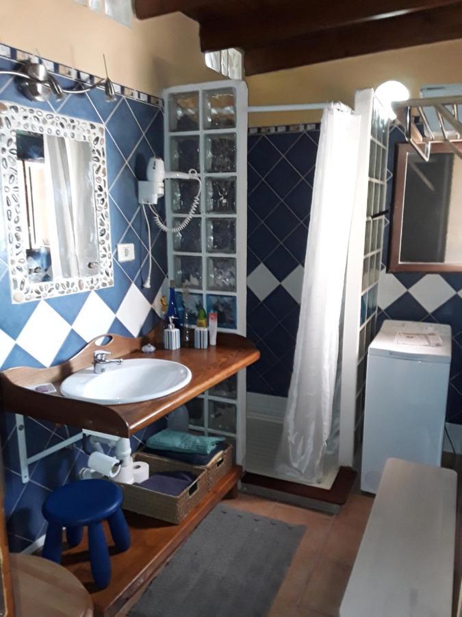 Casa Palmera Y Casa Datil 해리아 외부 사진