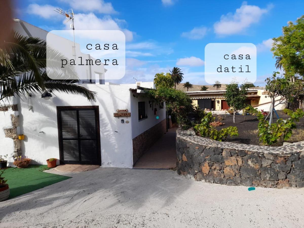 Casa Palmera Y Casa Datil 해리아 외부 사진