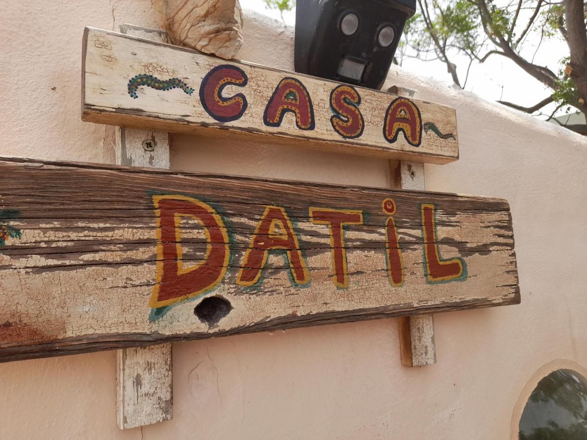 Casa Palmera Y Casa Datil 해리아 외부 사진