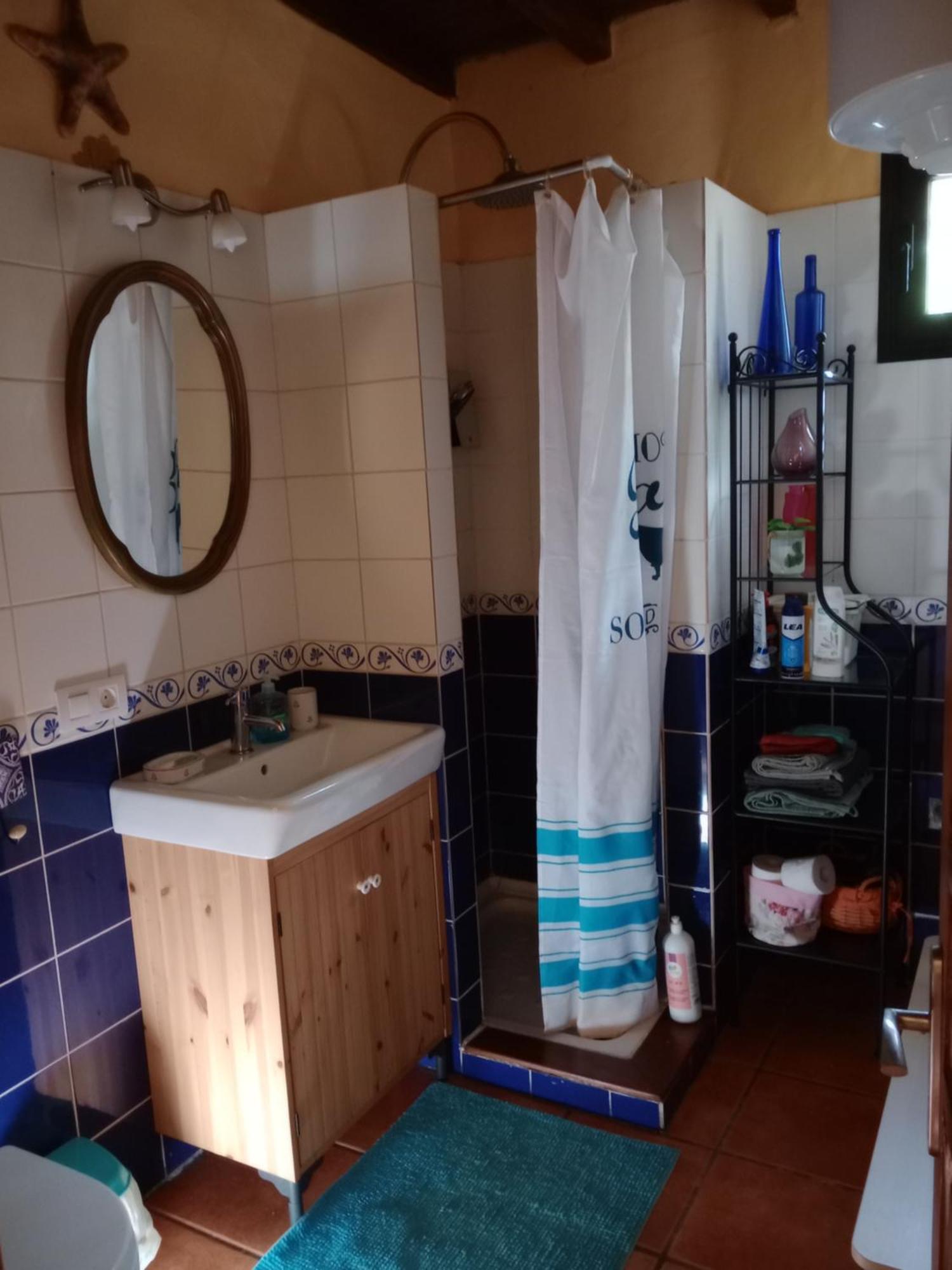 Casa Palmera Y Casa Datil 해리아 외부 사진