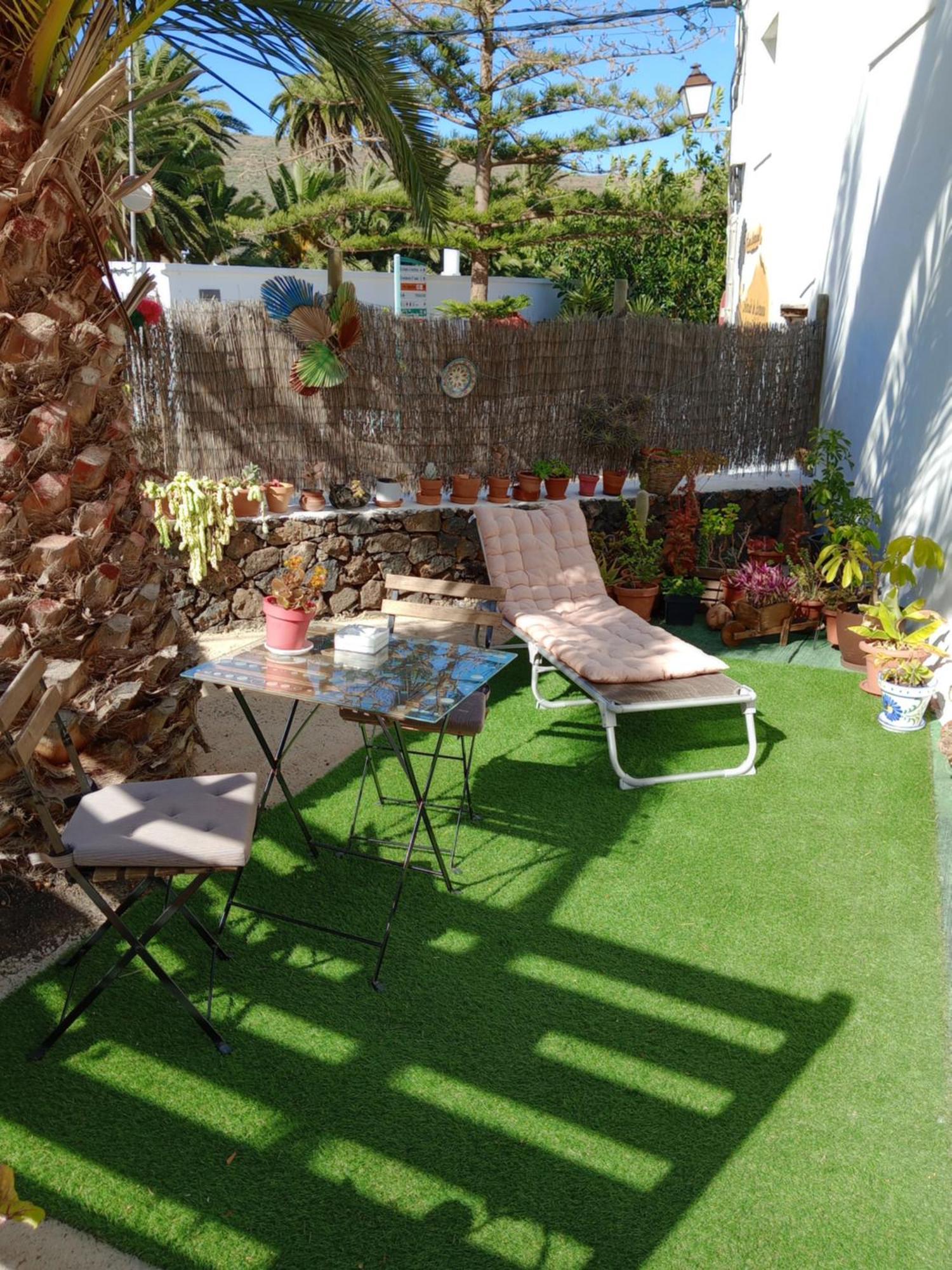 Casa Palmera Y Casa Datil 해리아 외부 사진