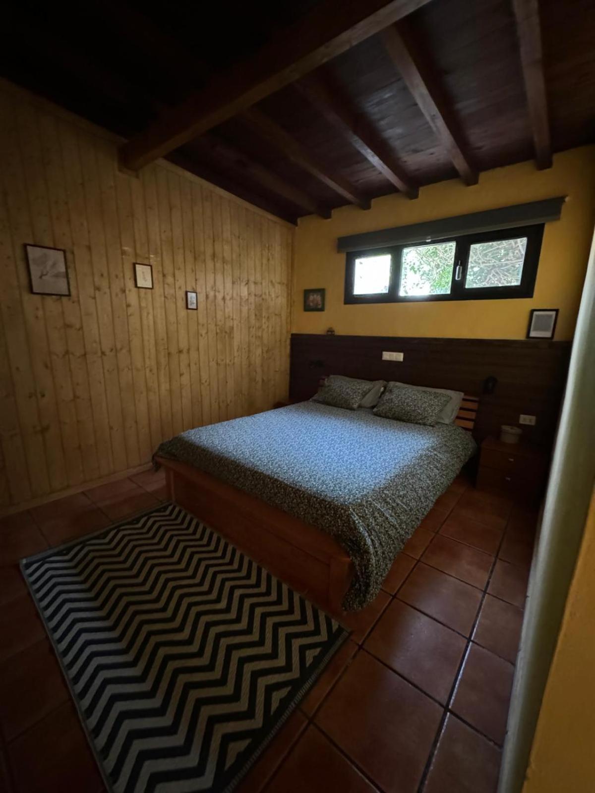 Casa Palmera Y Casa Datil 해리아 외부 사진