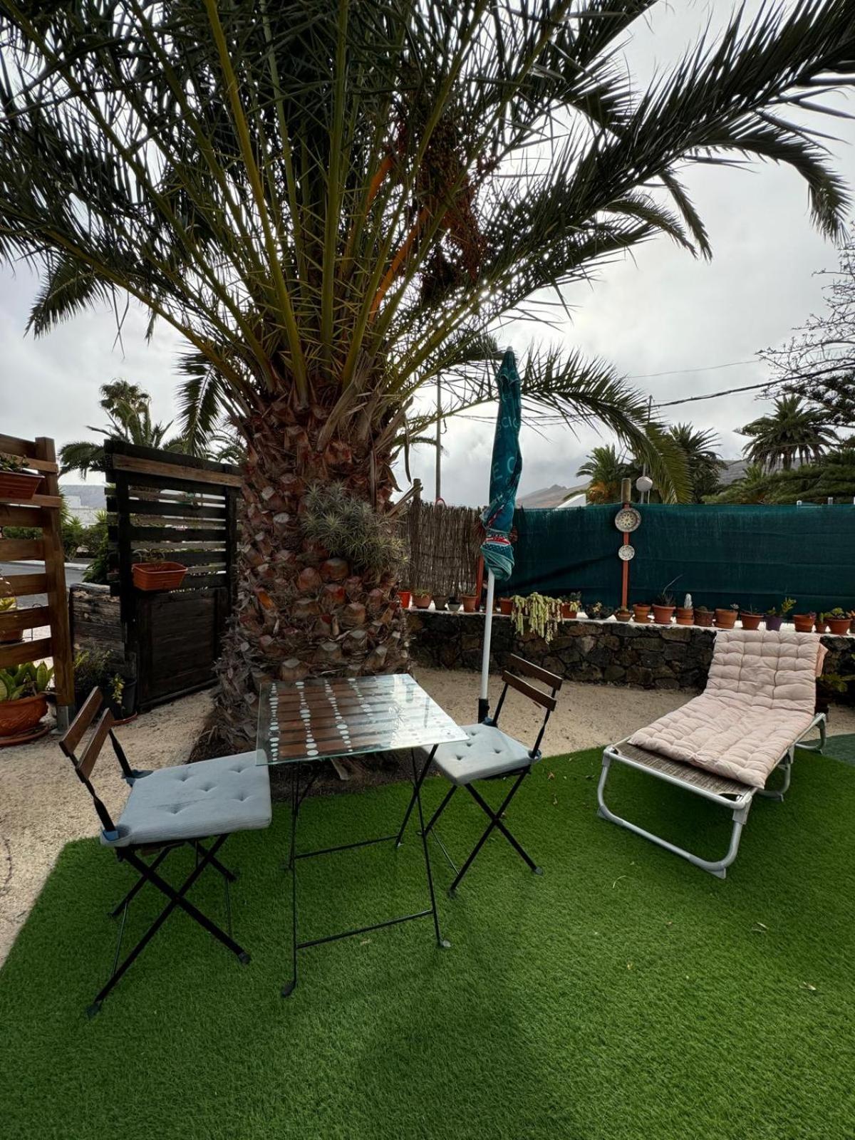 Casa Palmera Y Casa Datil 해리아 외부 사진