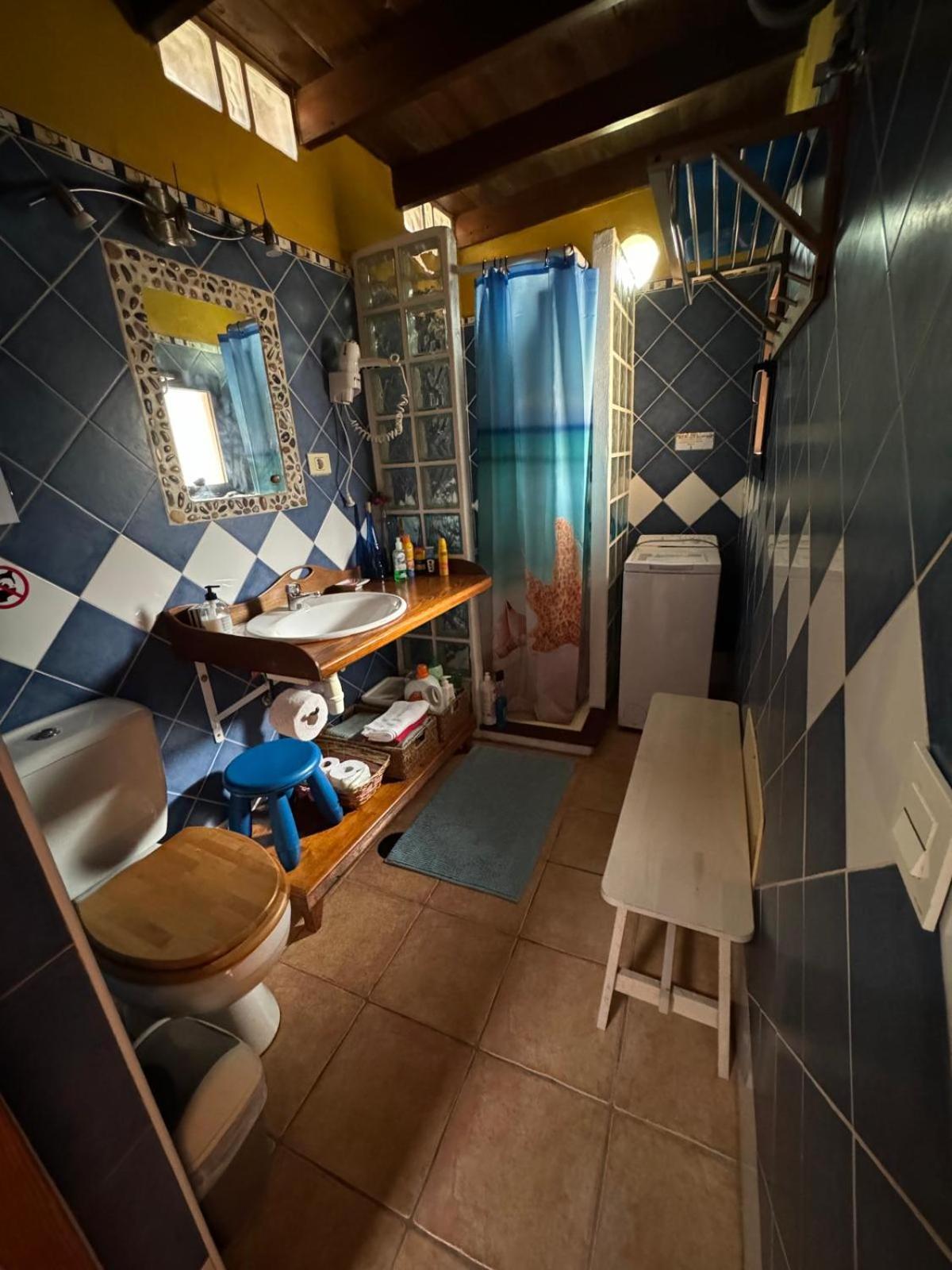 Casa Palmera Y Casa Datil 해리아 외부 사진