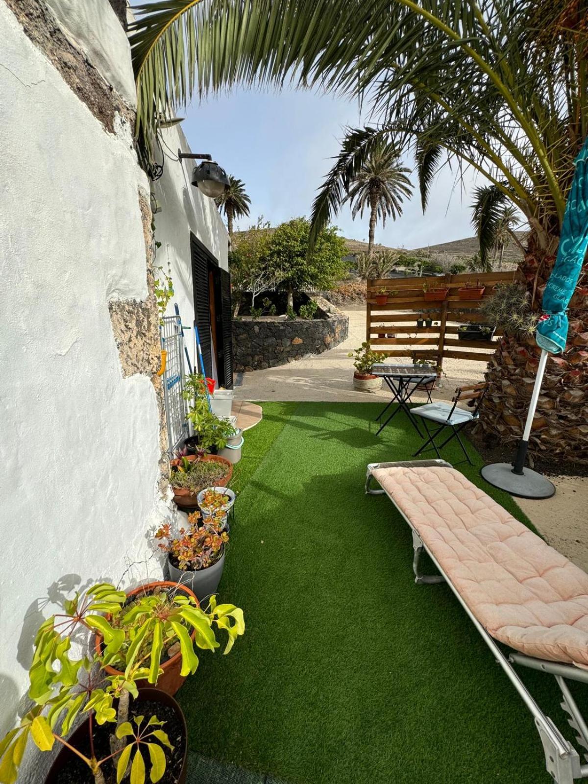 Casa Palmera Y Casa Datil 해리아 객실 사진