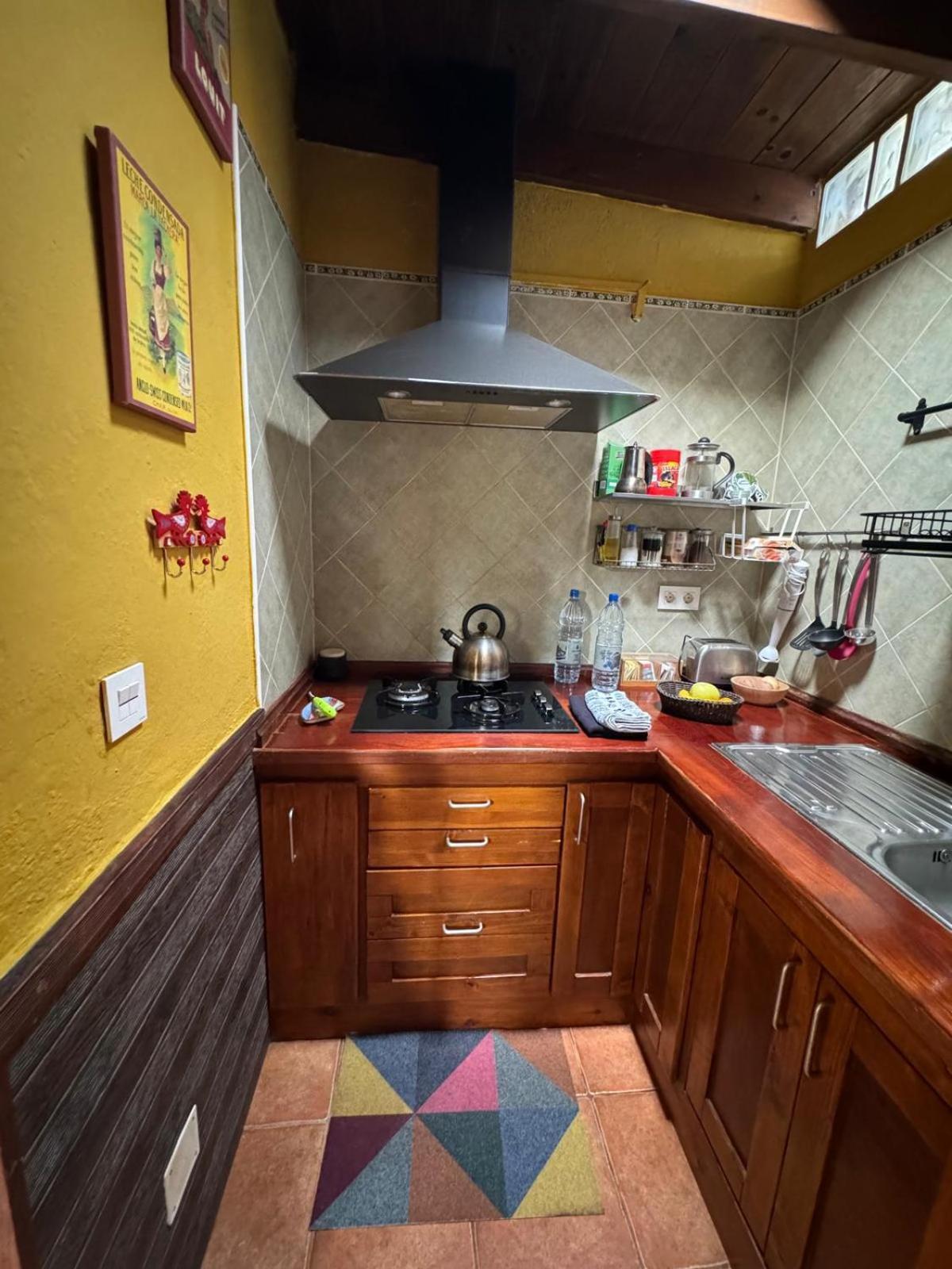 Casa Palmera Y Casa Datil 해리아 외부 사진
