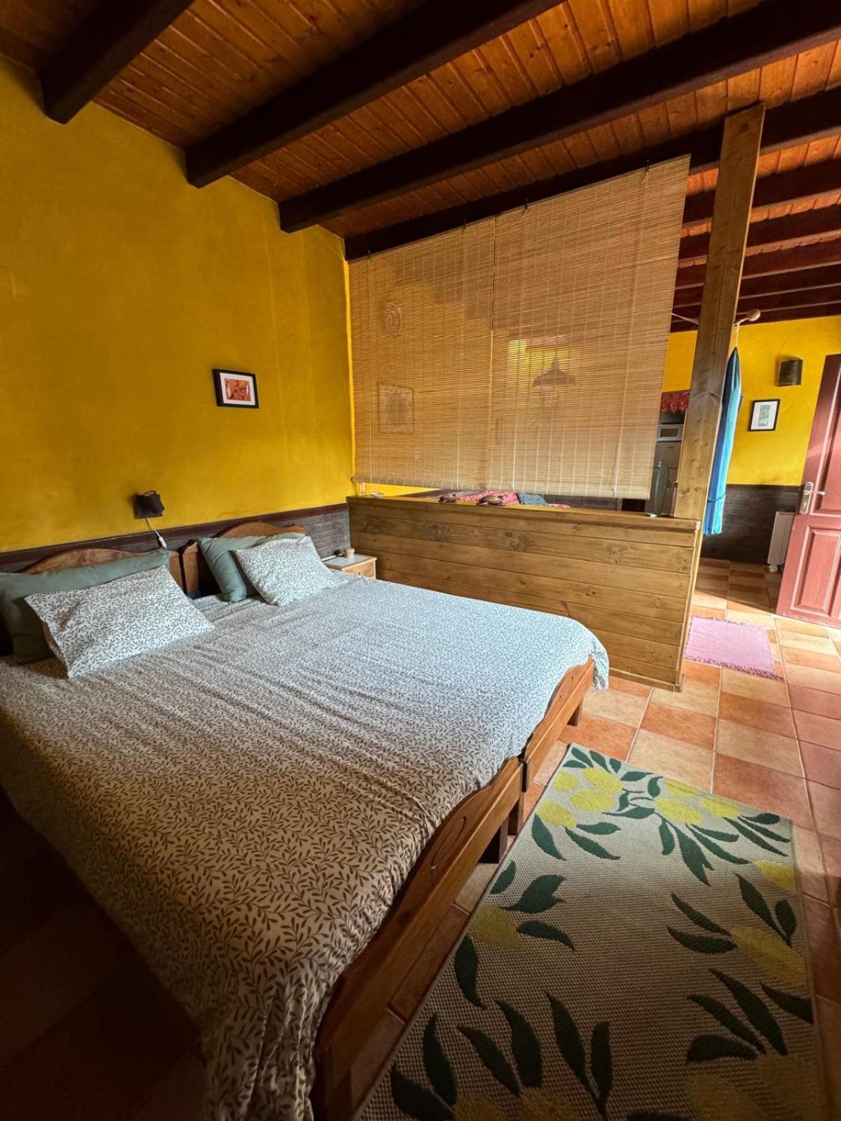 Casa Palmera Y Casa Datil 해리아 외부 사진