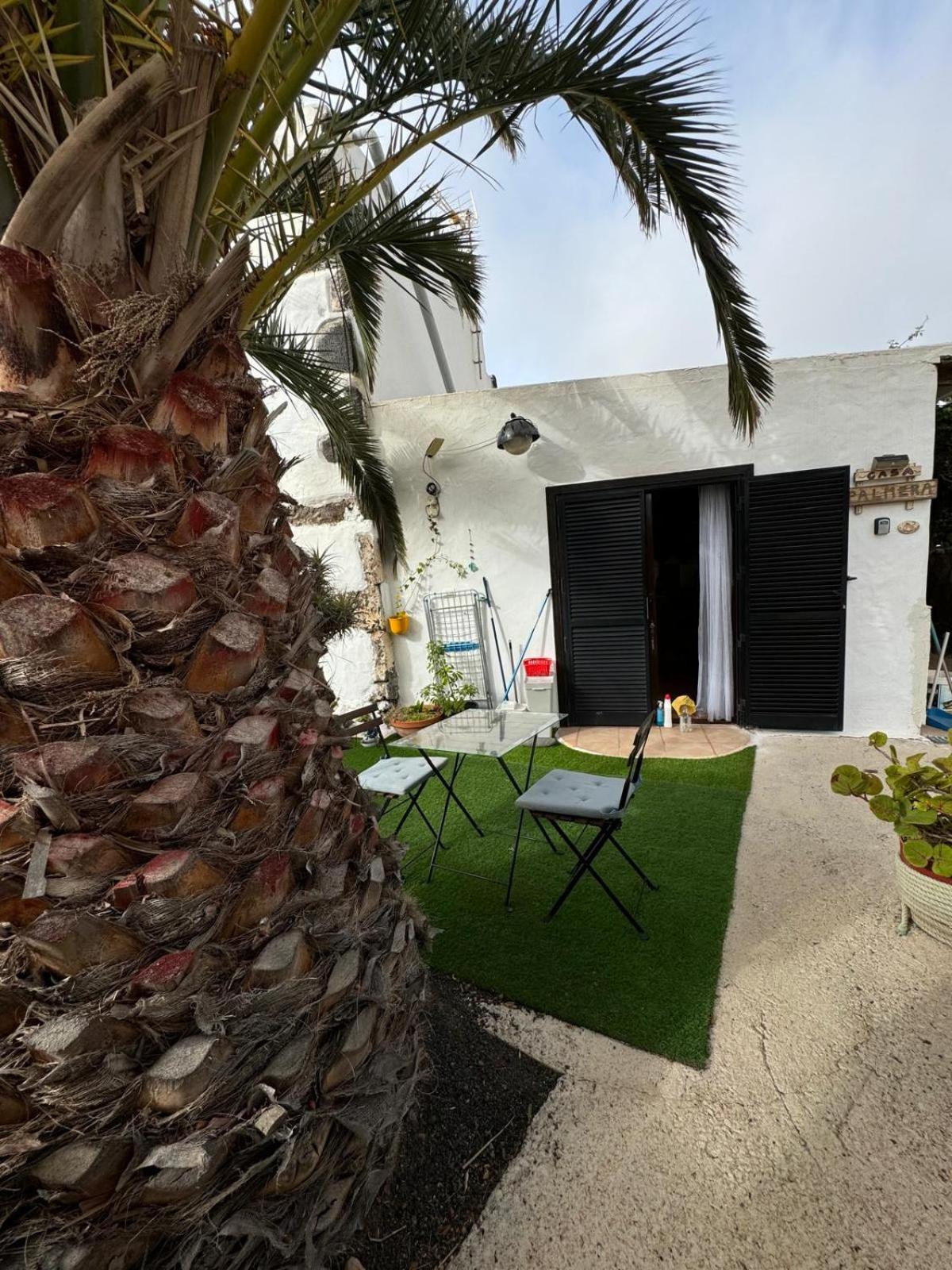 Casa Palmera Y Casa Datil 해리아 외부 사진