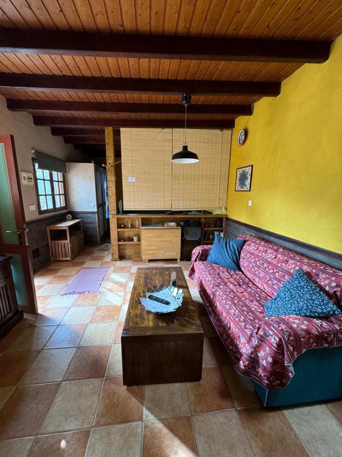 Casa Palmera Y Casa Datil 해리아 외부 사진